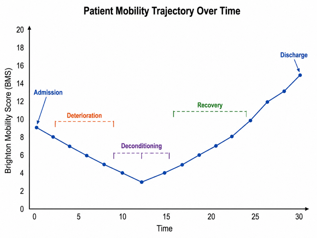 Brighton Mobility Score mobility trajectory over time
