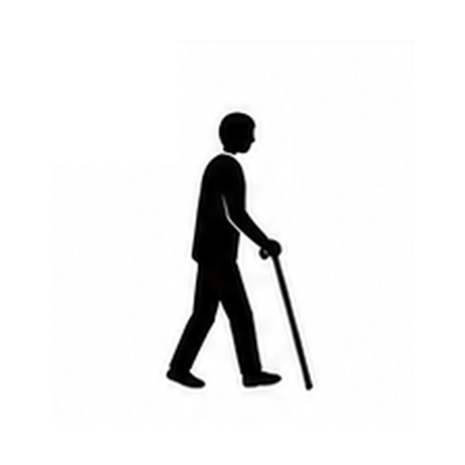 Brighton Mobility Score 17 mobility pictogram