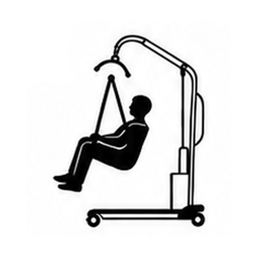 Brighton Mobility Score 2 mobility pictogram